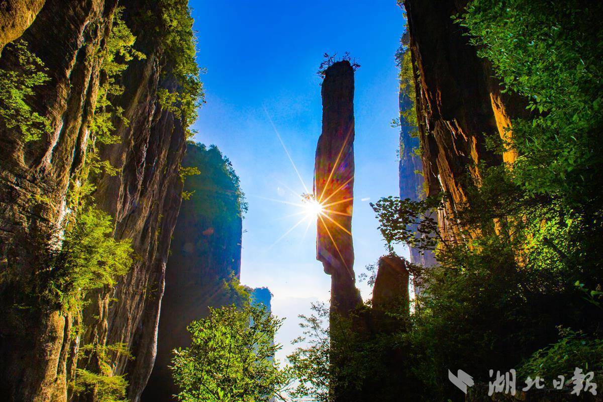 欢乐游戏手机版